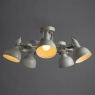 Потолочная люстра Arte Lamp Martin A5216PL-5WG