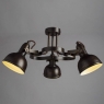 Потолочная люстра Arte Lamp Martin A5216PL-3BR